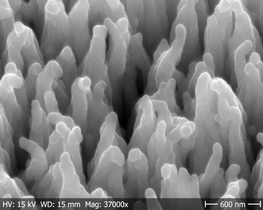 This image has an empty alt attribute; its file name is Fig4-SEM-carbon-nano-fiber-capacitor-coated-1024x819.jpg