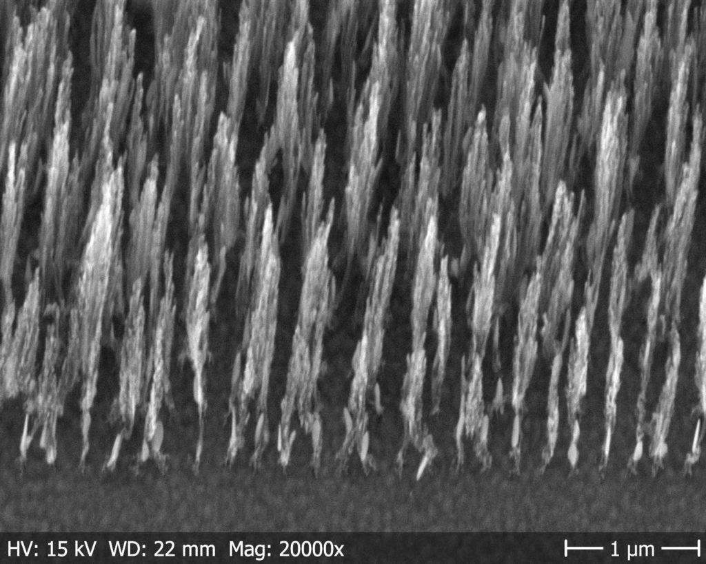 This image has an empty alt attribute; its file name is SEM-carbon-nano-fiber-capacitor-1024x819.jpg